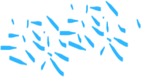 görsel açıklaması